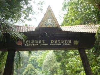 Pulai Hill Recreational Forest