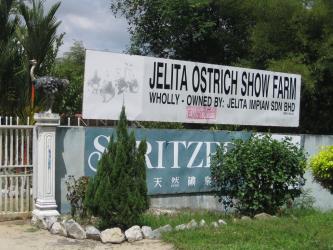 Jelita Ostrich Farm