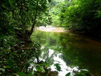 Krau Wildlife Reserve