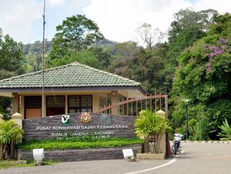 Kuala Gandah Elephant Sanctuary