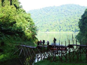 Belum Forest Reserve