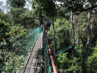 Danum Valley Conservation Area