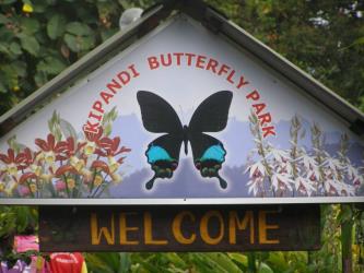 Kipandi Butterfly Park