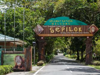 Sepilok Orang Utan Sanctuary