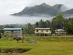 Bario Kelabit Highland