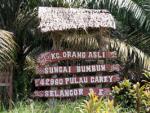 Pulau Carey