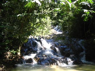 Templer's Park
