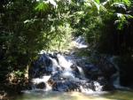 Templer Park
