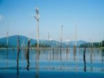 Kenyir Lake